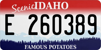 ID license plate E260389