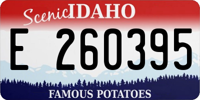 ID license plate E260395