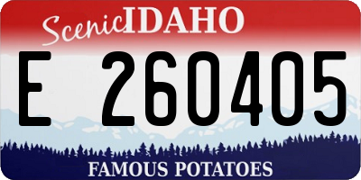 ID license plate E260405