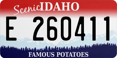 ID license plate E260411