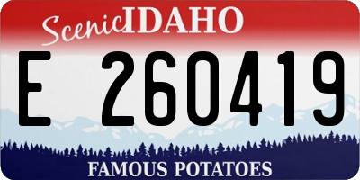 ID license plate E260419
