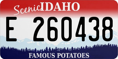 ID license plate E260438