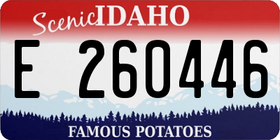 ID license plate E260446
