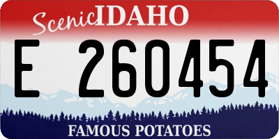 ID license plate E260454