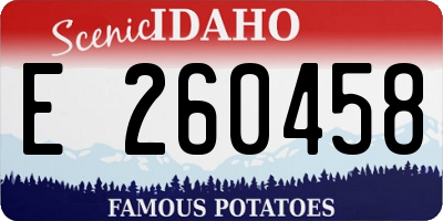 ID license plate E260458