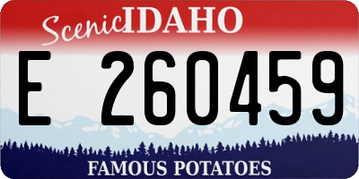ID license plate E260459