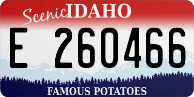 ID license plate E260466