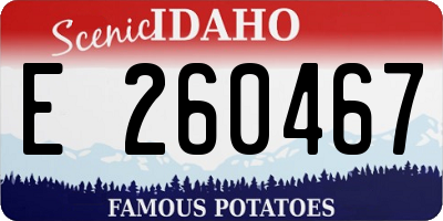 ID license plate E260467