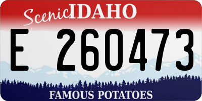 ID license plate E260473