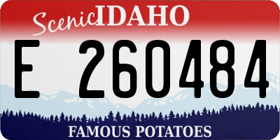 ID license plate E260484