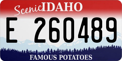 ID license plate E260489