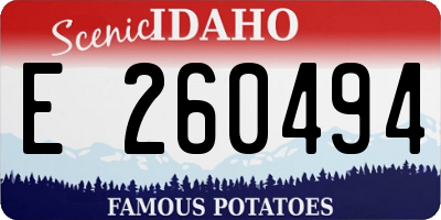 ID license plate E260494