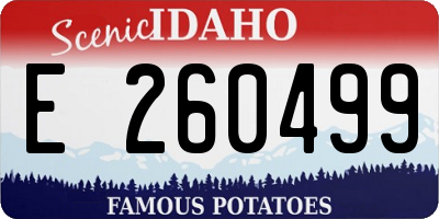 ID license plate E260499