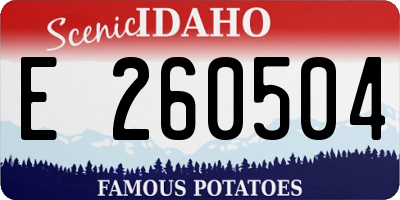 ID license plate E260504