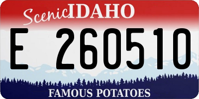 ID license plate E260510