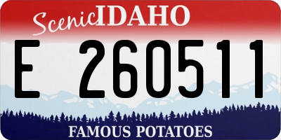 ID license plate E260511