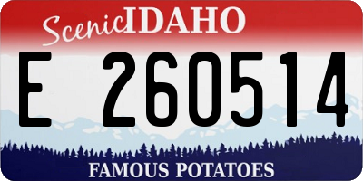 ID license plate E260514