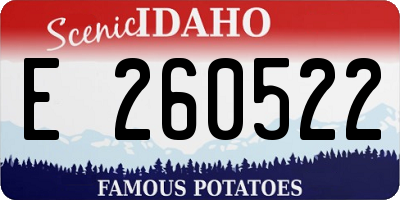 ID license plate E260522