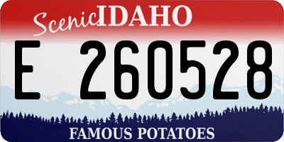 ID license plate E260528