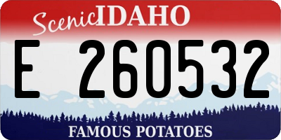 ID license plate E260532