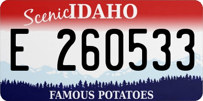 ID license plate E260533