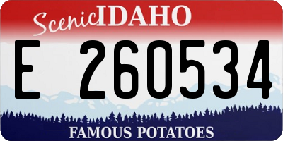 ID license plate E260534