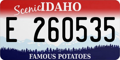 ID license plate E260535