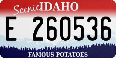 ID license plate E260536