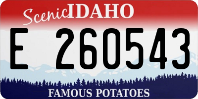 ID license plate E260543