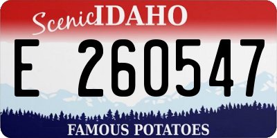 ID license plate E260547