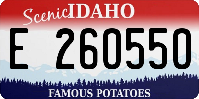 ID license plate E260550