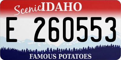 ID license plate E260553