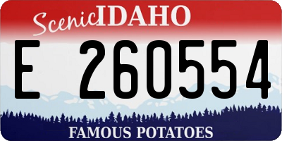 ID license plate E260554