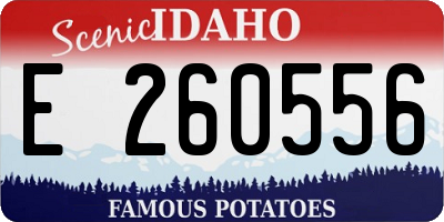ID license plate E260556