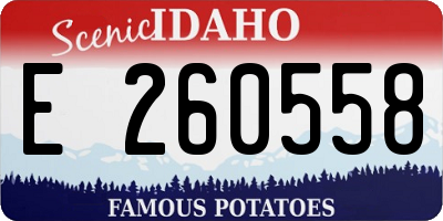 ID license plate E260558