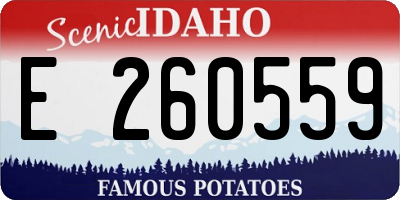 ID license plate E260559
