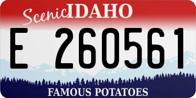ID license plate E260561