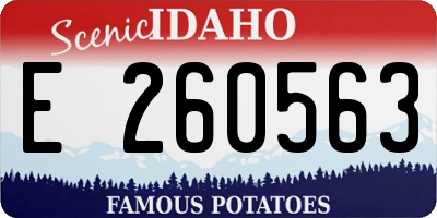 ID license plate E260563