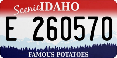 ID license plate E260570