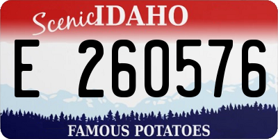 ID license plate E260576