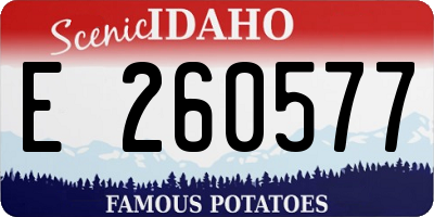ID license plate E260577