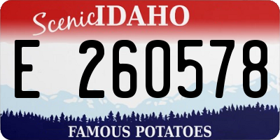 ID license plate E260578