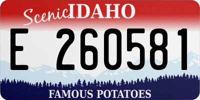ID license plate E260581