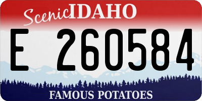 ID license plate E260584