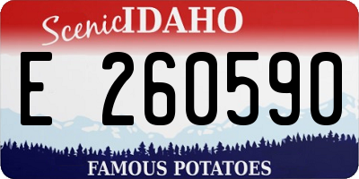 ID license plate E260590