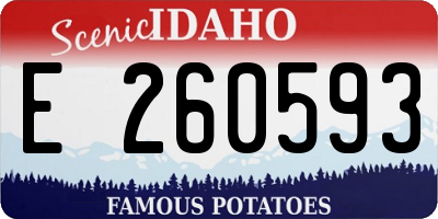 ID license plate E260593