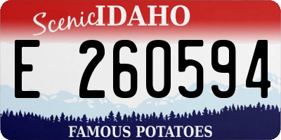 ID license plate E260594