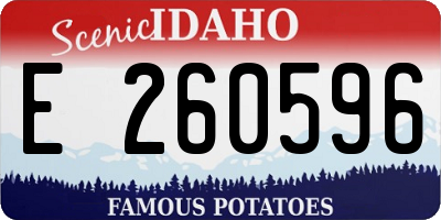 ID license plate E260596