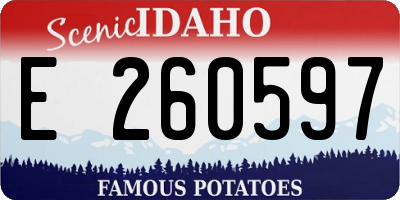 ID license plate E260597