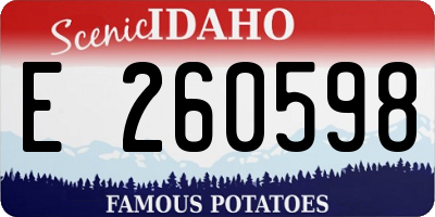 ID license plate E260598